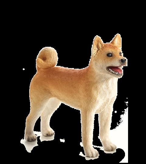 Mojo Animal Planet Pes Shiba Inu