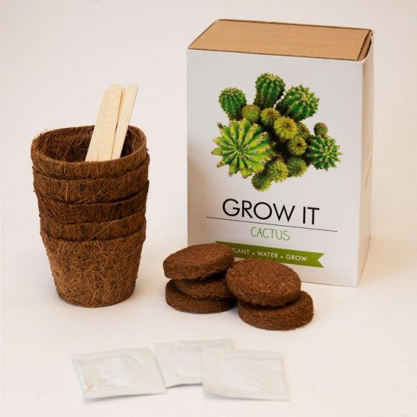 Grow it - Kaktus