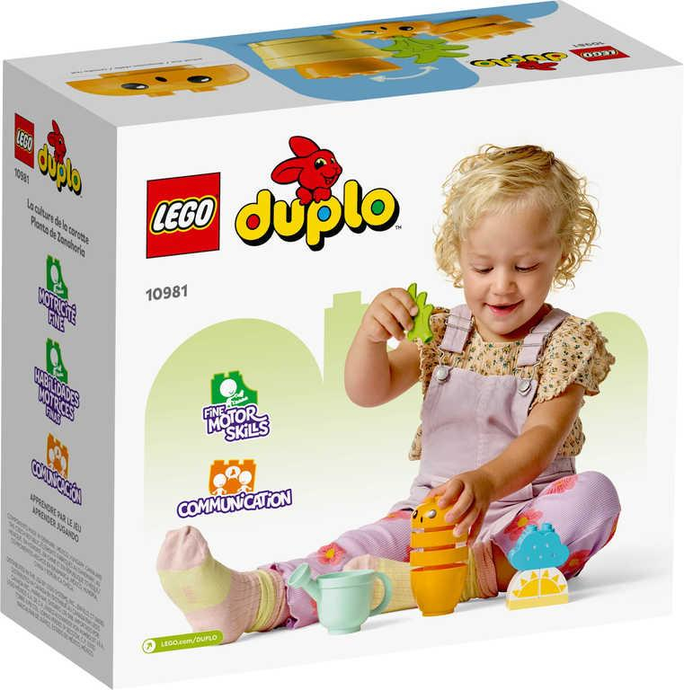 ds22522138_lego_duplo_pestovani_mrkve_10981_stavebnice_3