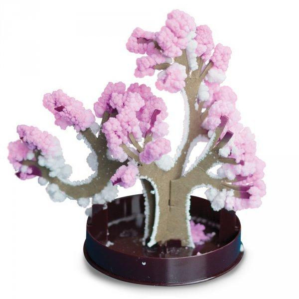 ds27766531_zimni_bonsai_ruzova_2