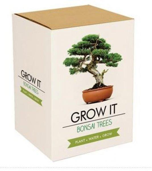 Grow it - Bonsai