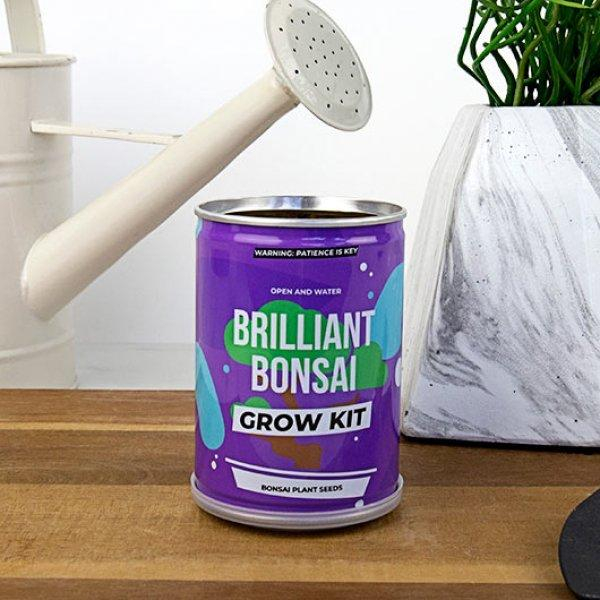 Grow Tin - plechovka bonsai