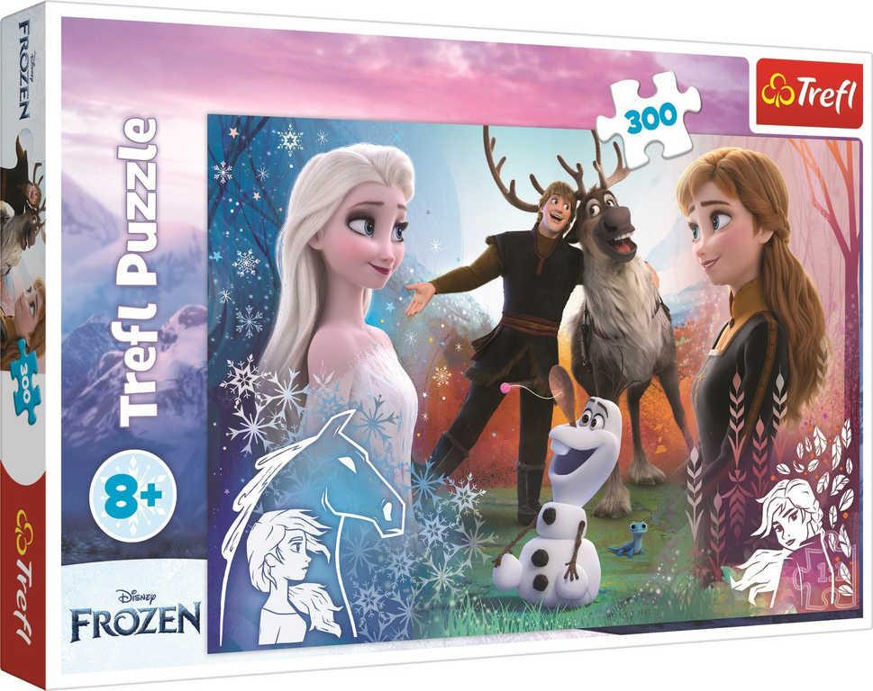 ds35717374_trefl_puzzle_frozen_2_kouzelny_cas_60x40cm_300_dilku_skladacka_1