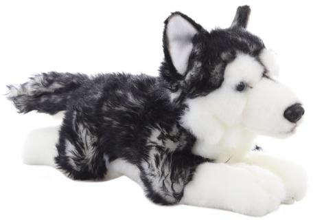 Plyš Husky ležící 35 cm