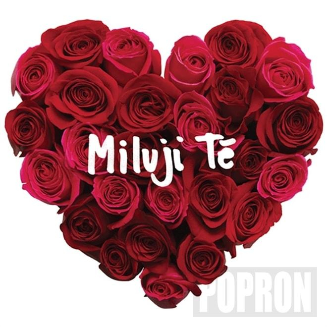 Various - Miluji tě, CD