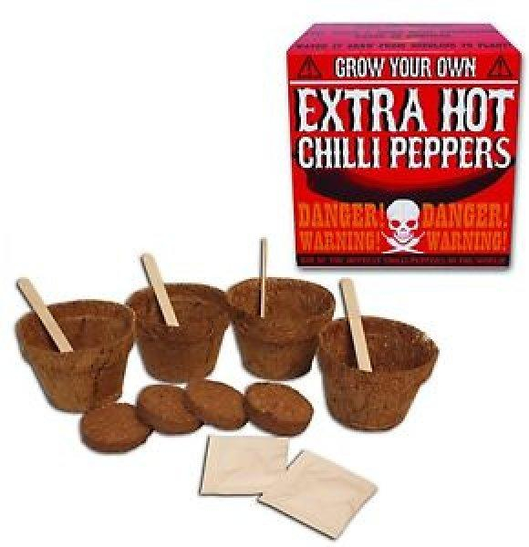 ds69519763_grow_your_own_chilli_1