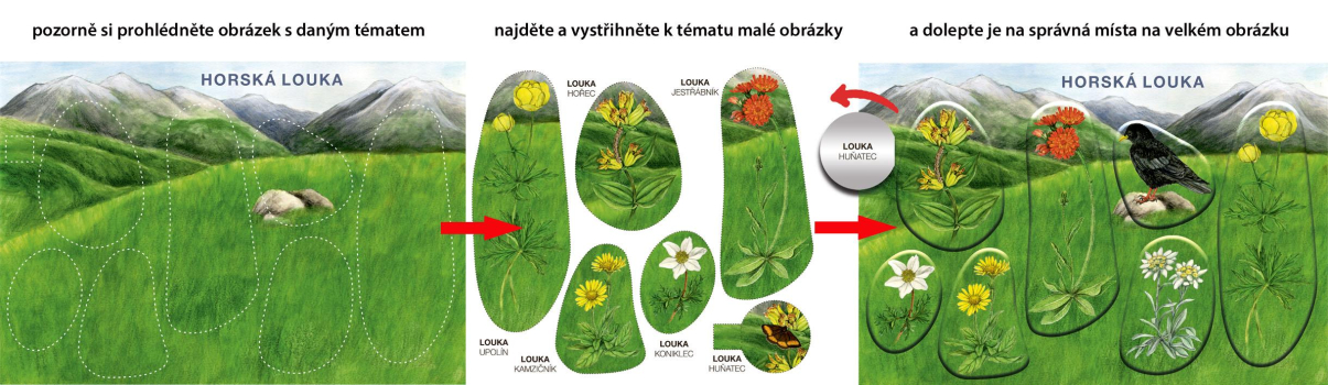 ds71884881_betexa_zaciname_vystrihovat_na_horach_2