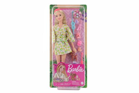 Barbie Wellness panenka - v lázních HKT90