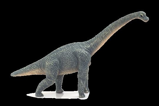 Mojo Animal Planet Brachiosaurus